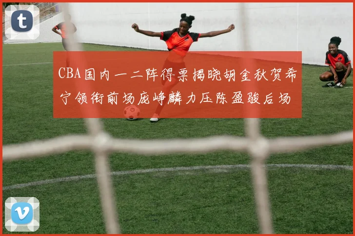 CBA国内一二阵得票揭晓胡金秋贺希宁领衔前场庞峥麟力压陈盈骏后场