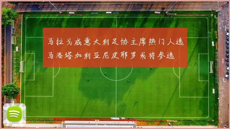 马拉戈成意大利足协主席热门人选马洛塔加利亚尼皮耶罗或将参选